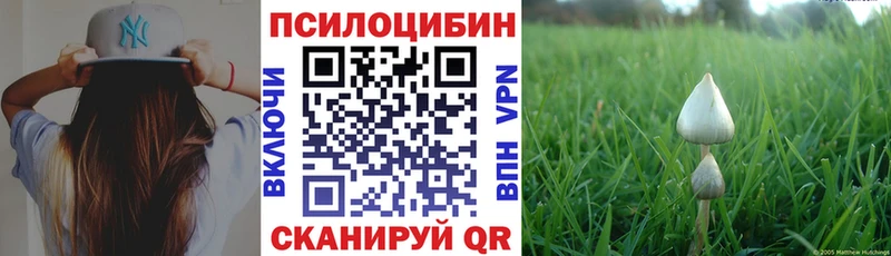 закладка  гидра ONION  Галлюциногенные грибы Psilocybine cubensis  Калач 